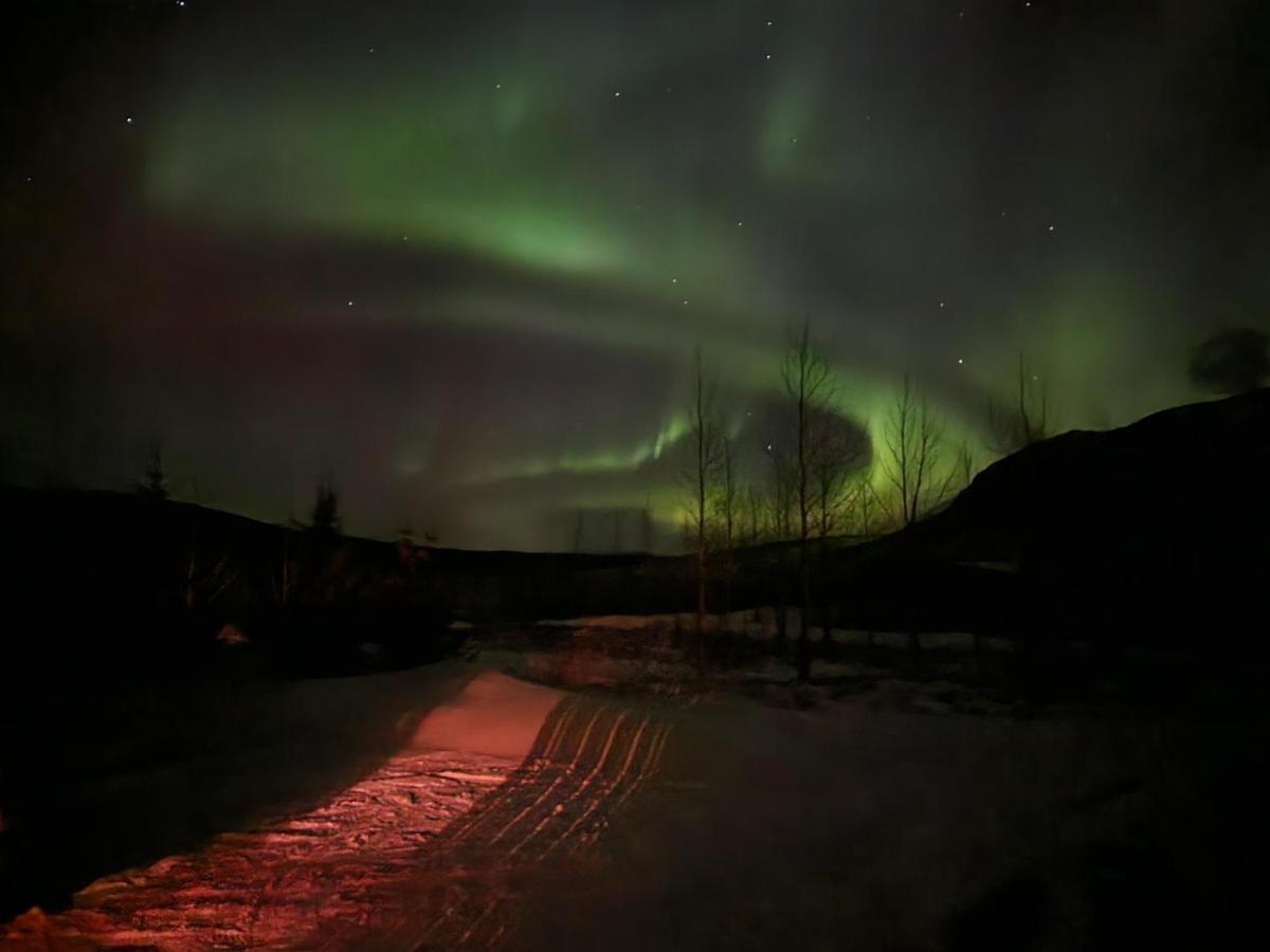 Golden Circle Cabin, Hot Tub Villa Geysir Eksteriør billede